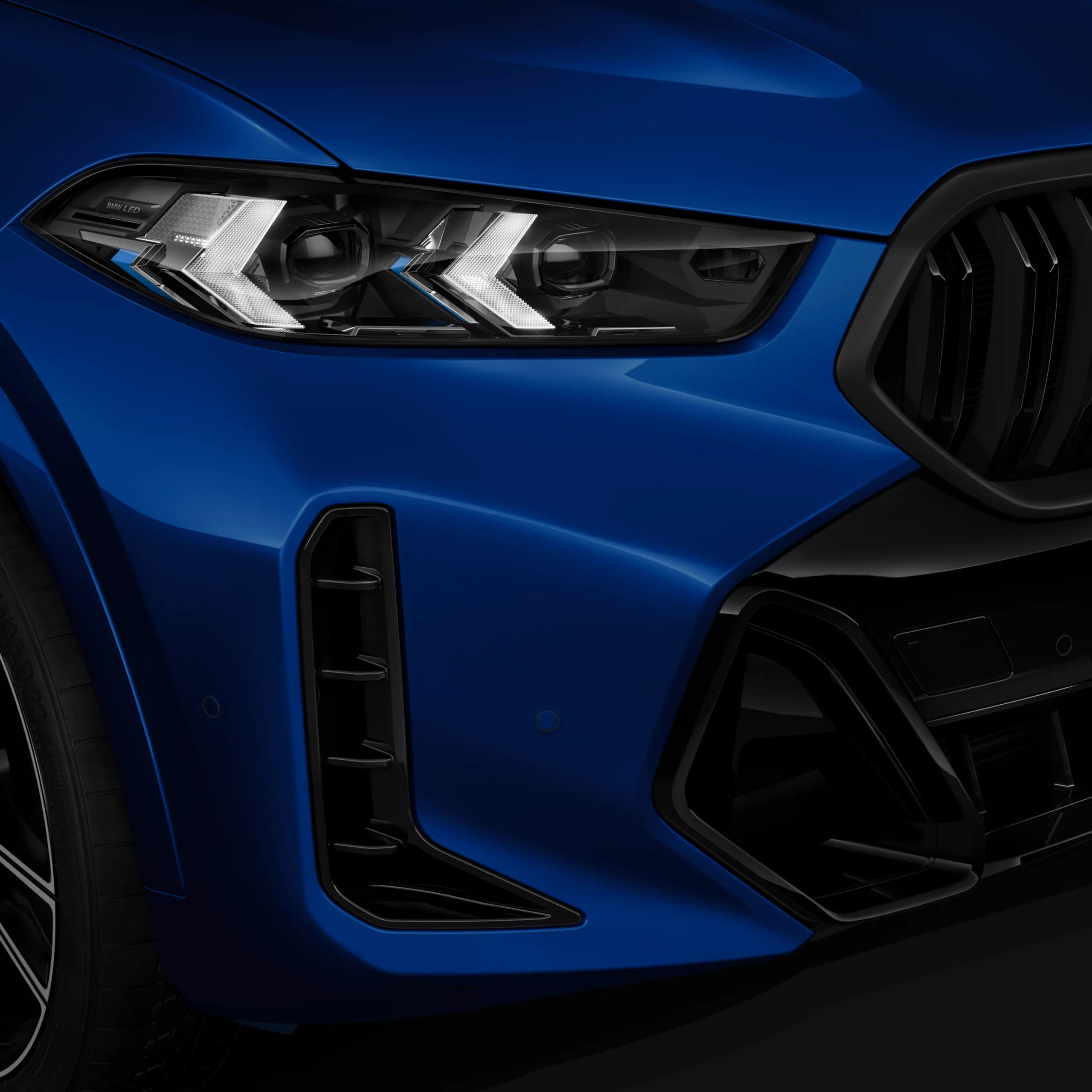 M ライト・シャドー・ライン（BMW X6 xDrive35dにオプション設定。